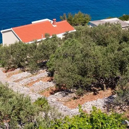 Appartement Petkovic