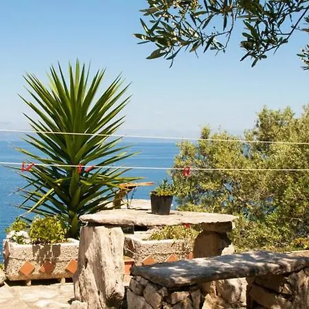 Appartement Petkovic *
